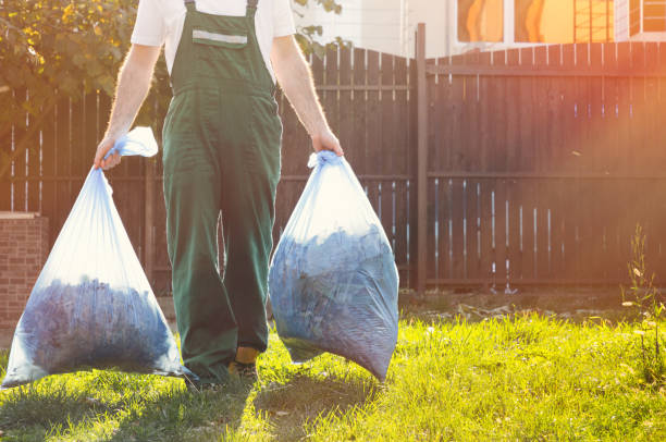 Best Furniture Removal  in Riverview, MI